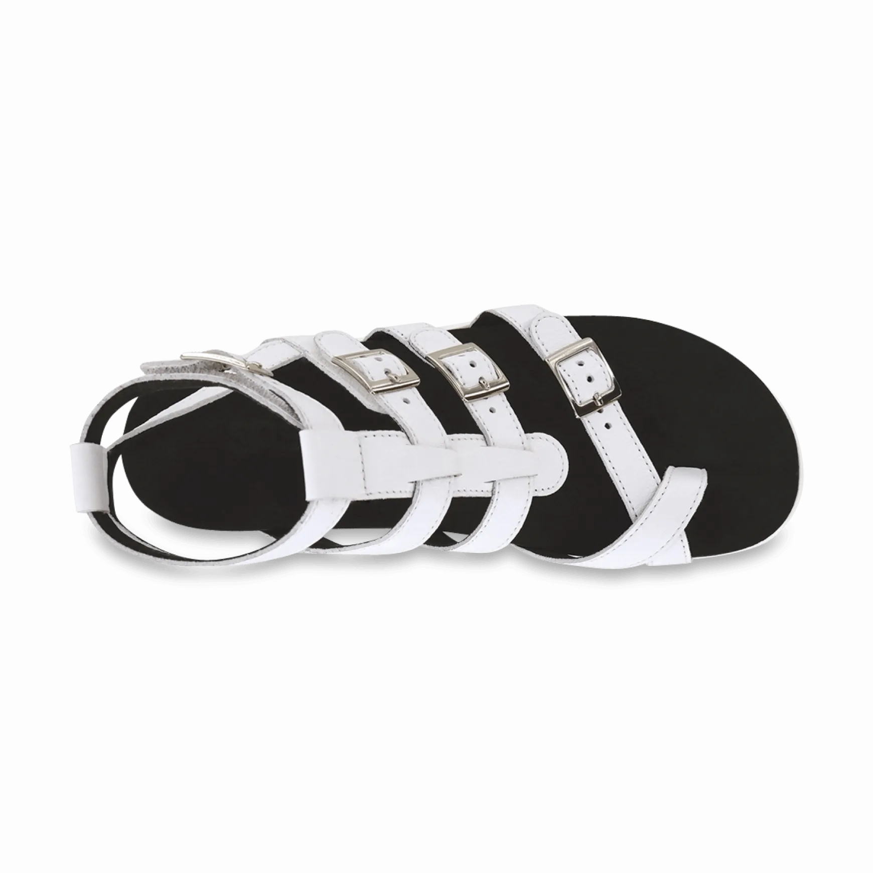 SAS Aria - Gladiator Sandal
